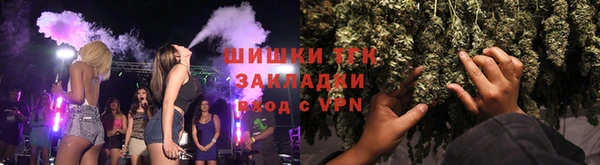 сатива Осинники