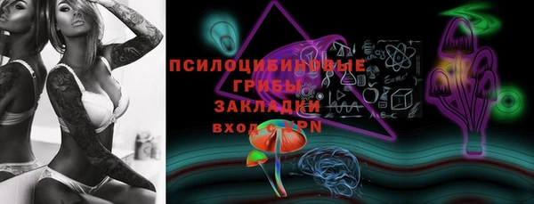 сатива Осинники