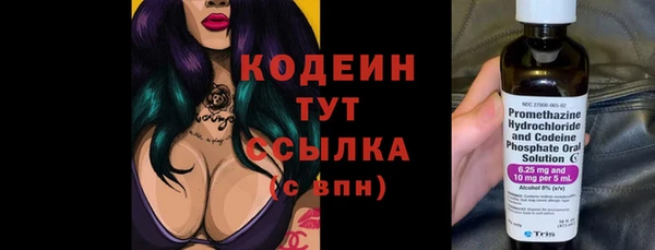 сатива Осинники