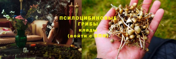 ALPHA-PVP Няндома