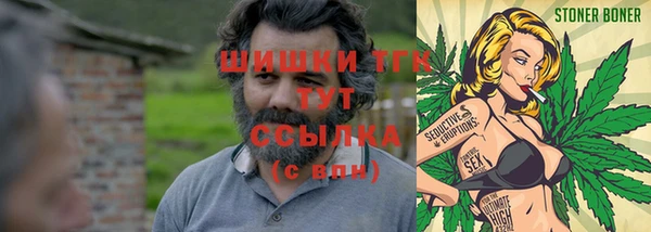 эйфоретик Осташков
