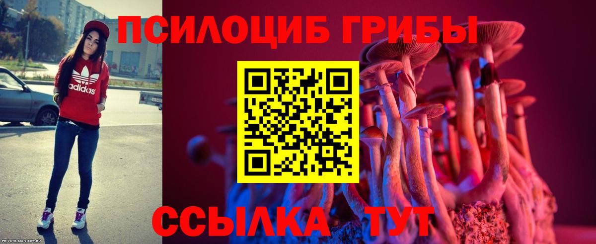 Галлюциногенные грибы Psilocybine cubensis Ивантеевка