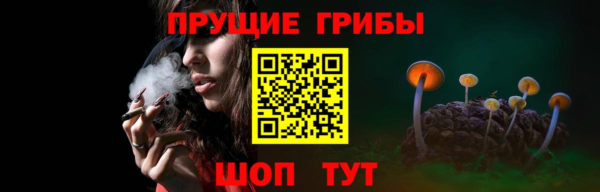 Ивантеевка  Галлюциногенные грибы мицелий  Псилоцибиновые грибы мицелий  где найти   Вход с VPN 